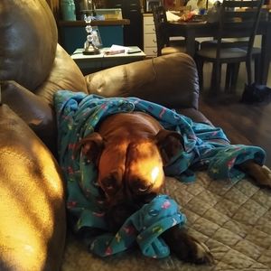 Meet your Posher, Deborah